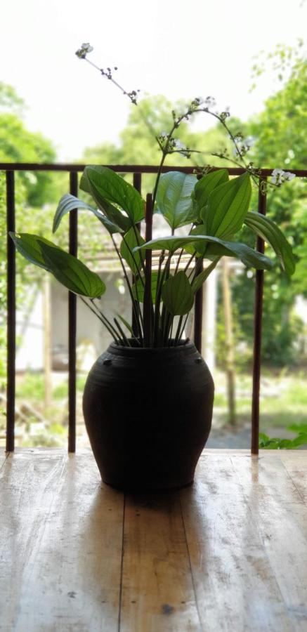 Tuyet'S Homestay Ninh Binh Bagian luar foto