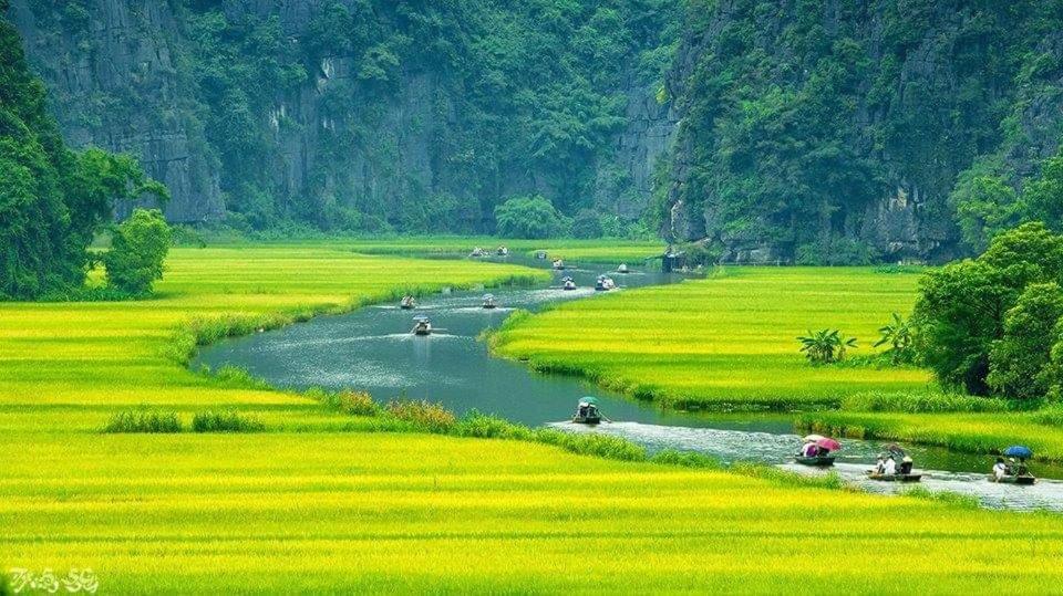 Tuyet'S Homestay Ninh Binh Bagian luar foto