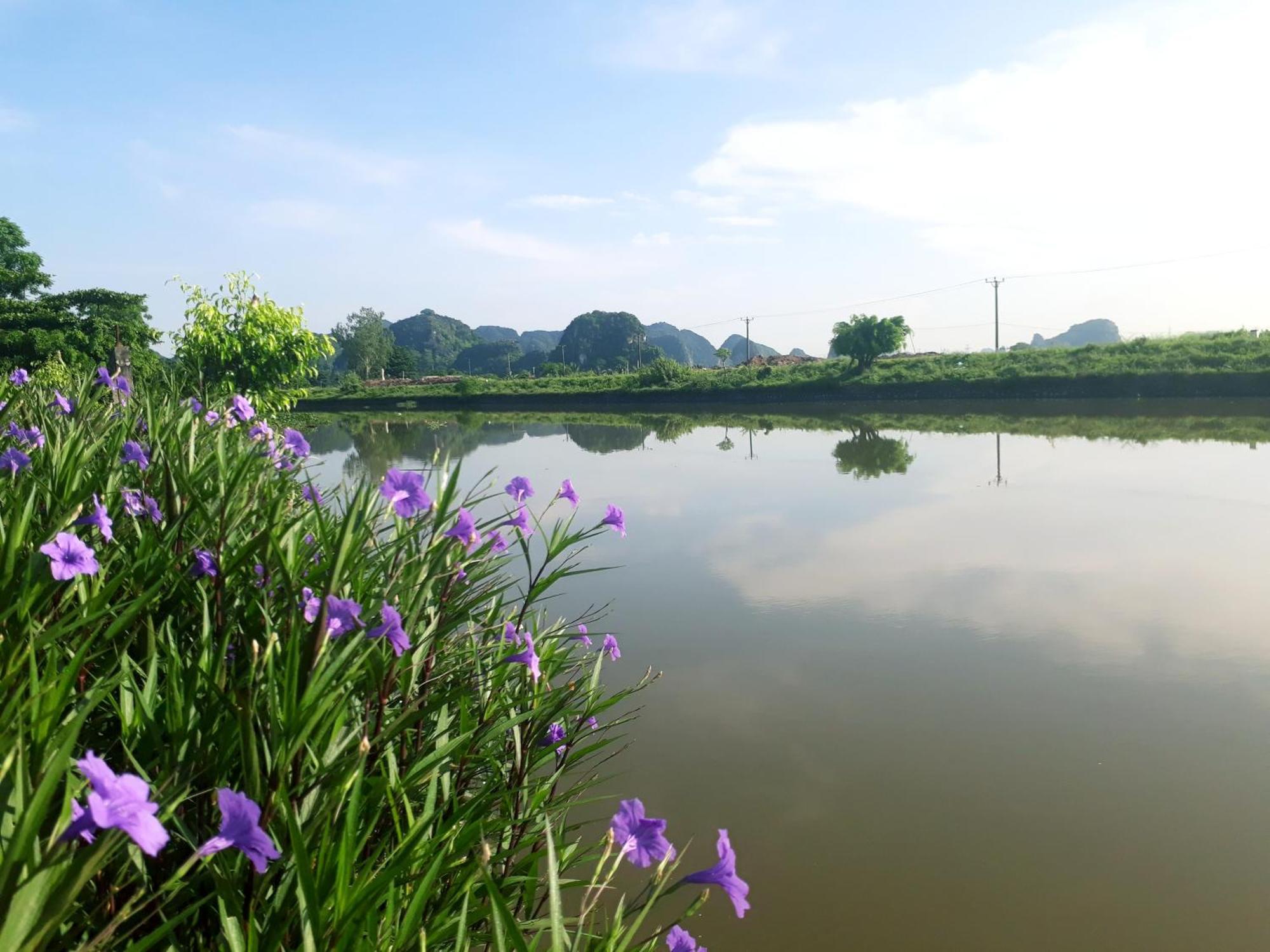 Tuyet'S Homestay Ninh Binh Ruang foto