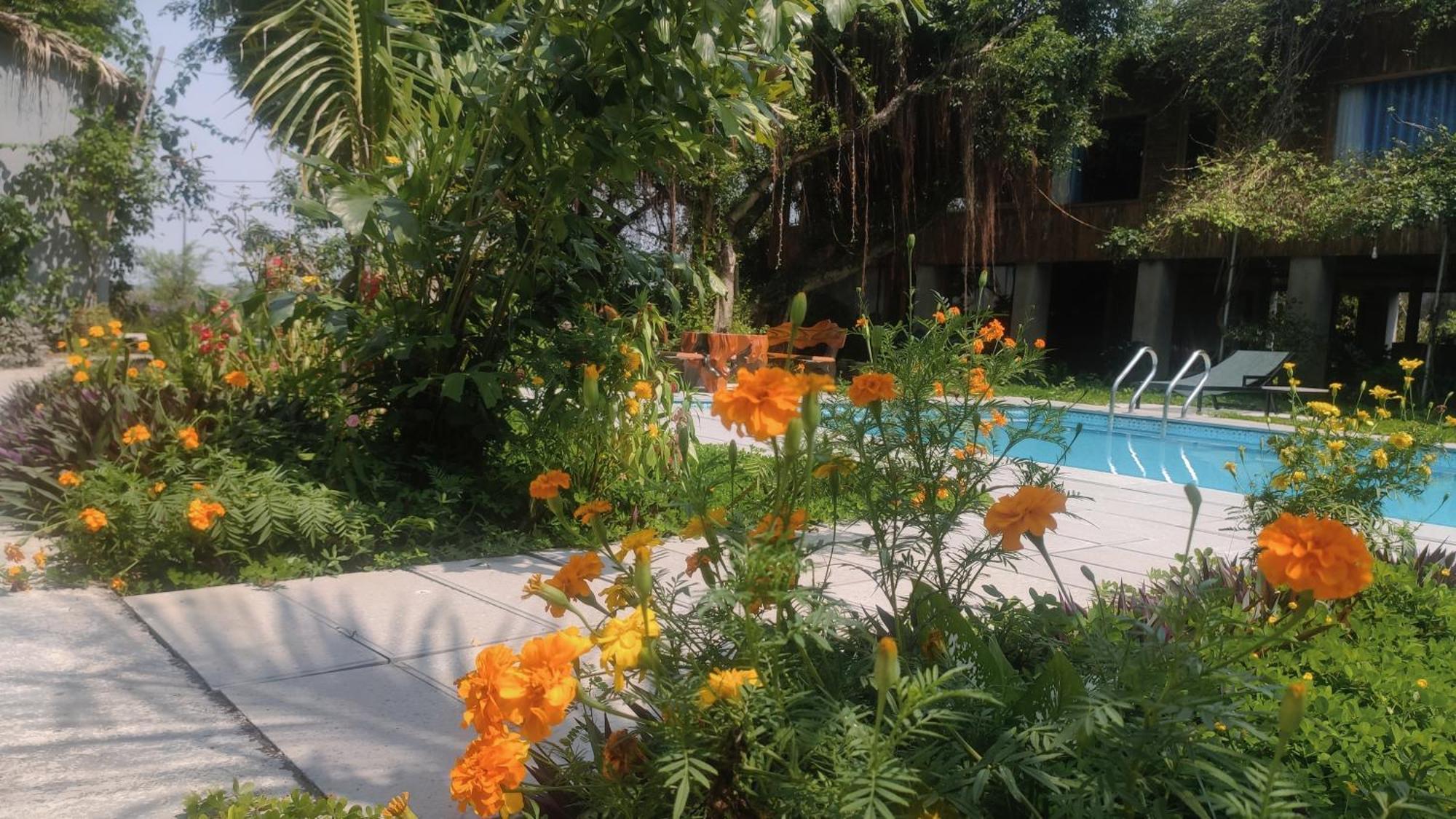 Tuyet'S Homestay Ninh Binh Bagian luar foto